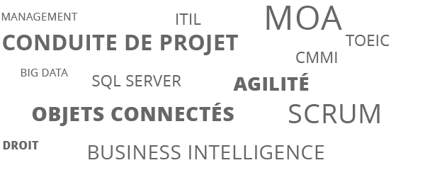 nuages-mots-formation-msdd Nuage mots msdd