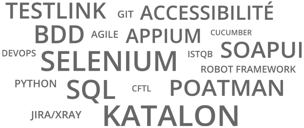 Nuage de mots illustrant la formation Testeur Logiciels Nuage de mots illustrant la formation Testeur Logiciels