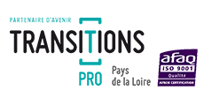 Logo Transitions Pro